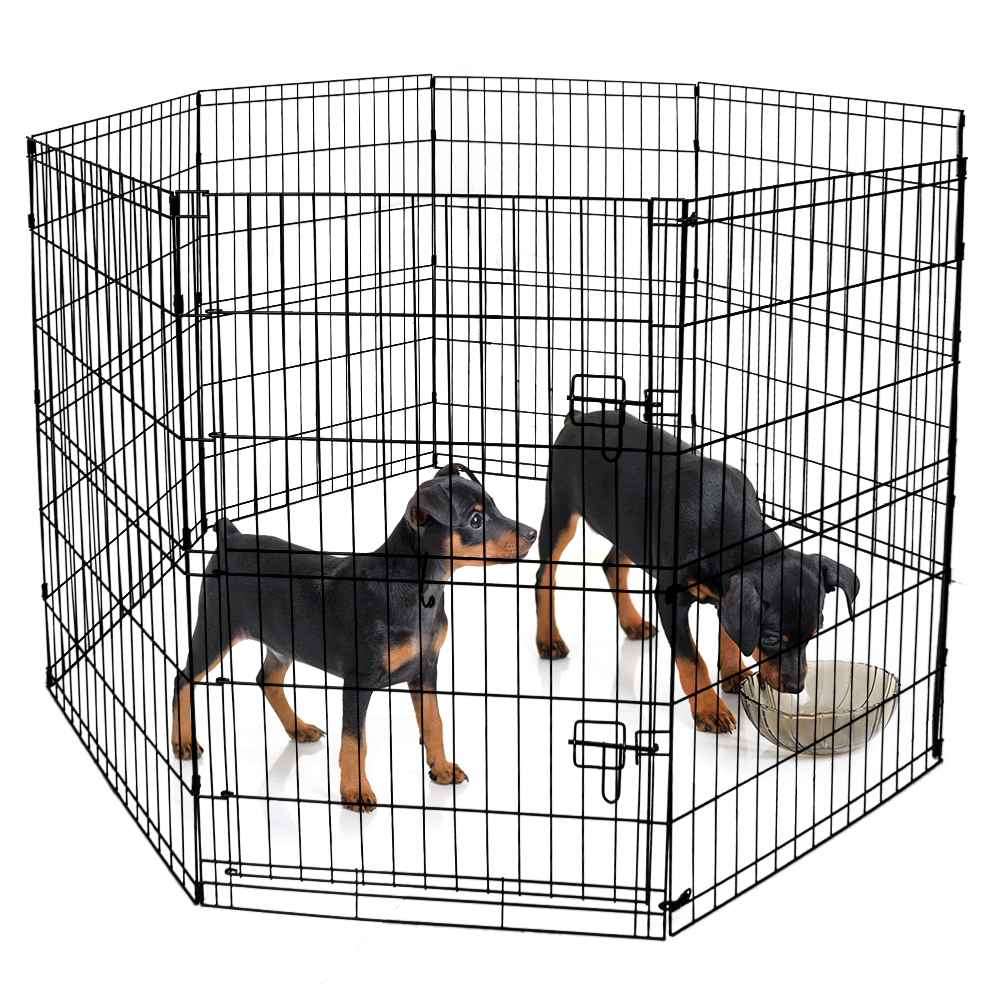 Wire Exercise Pen