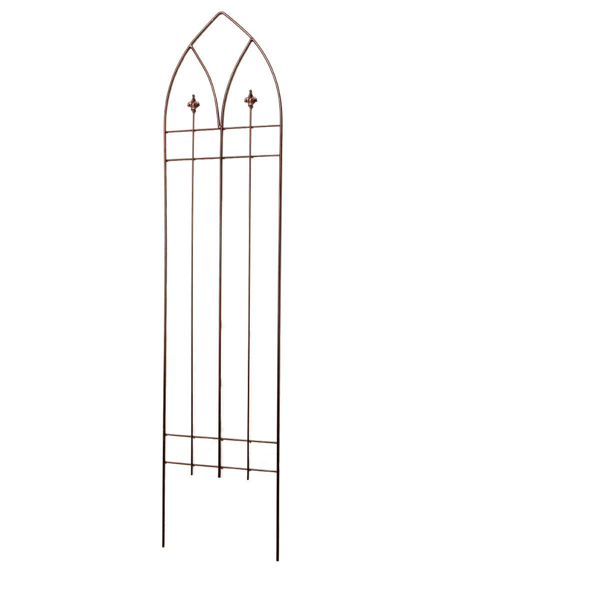 Garden Trellis