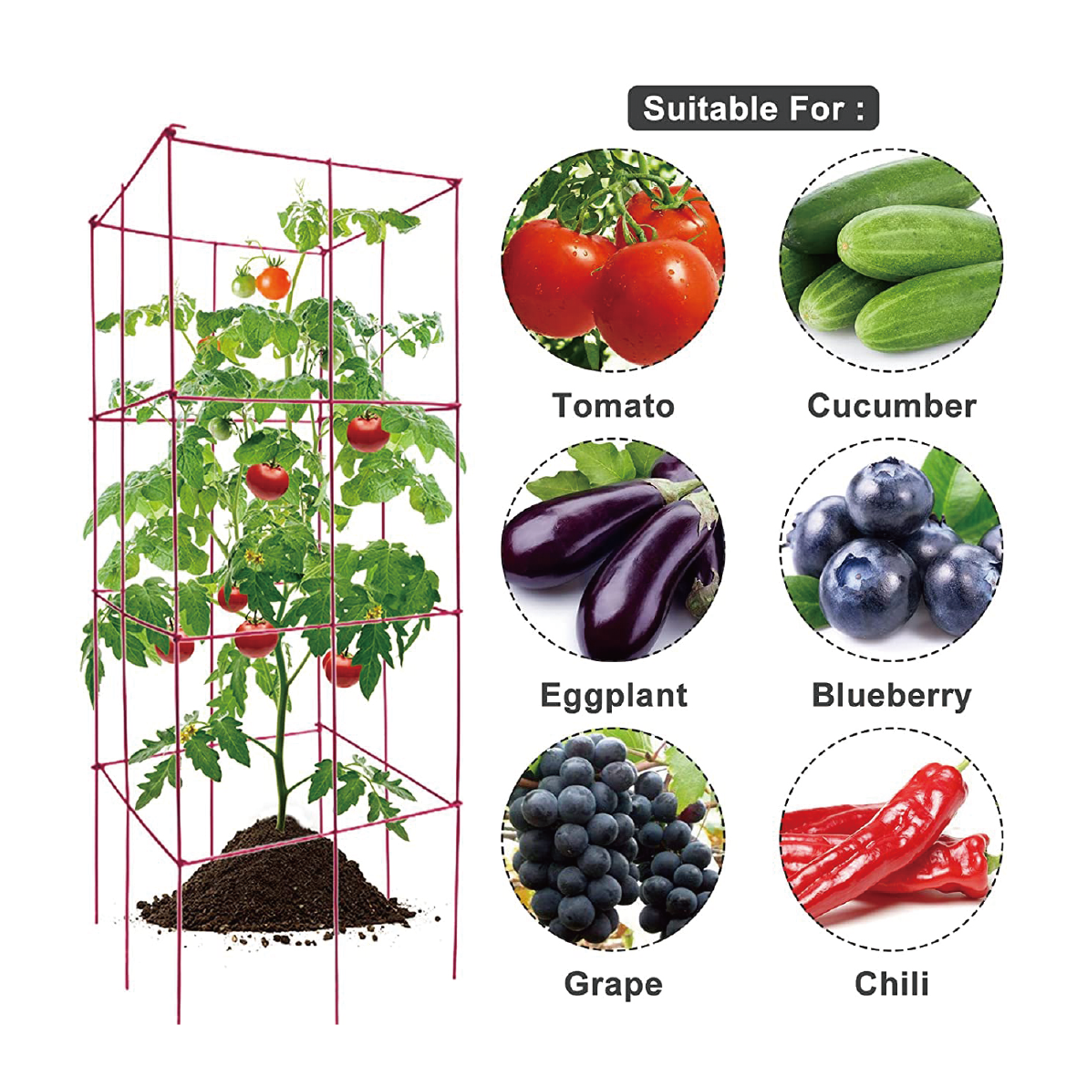 Tomato Trellis