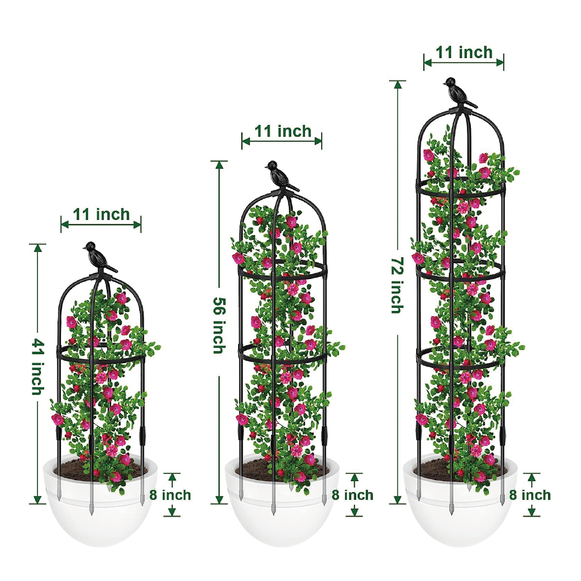 Plant Support