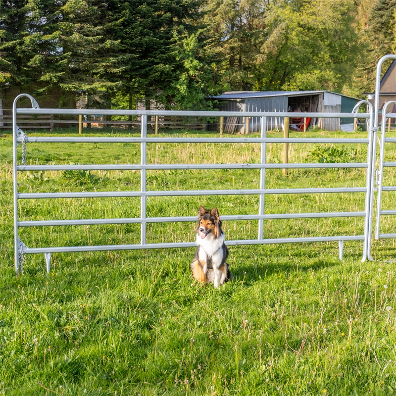 Horse panel and gate